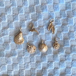 Sterling beach charms